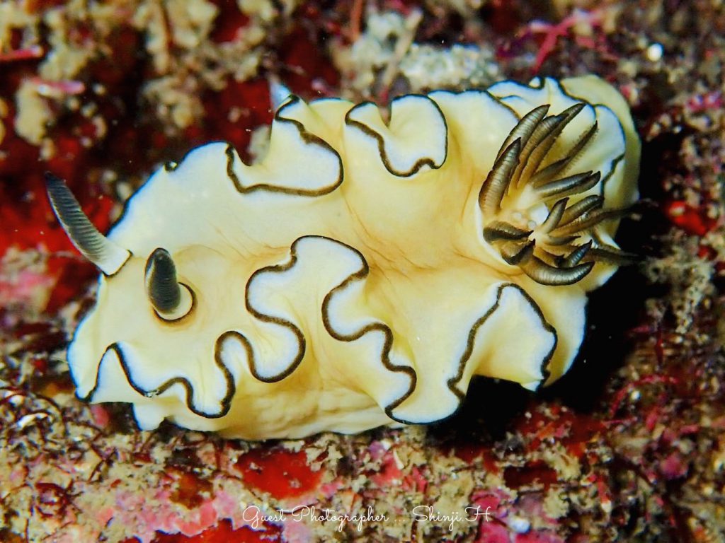 Namidea Yokohama 紀伊半島ツアー!