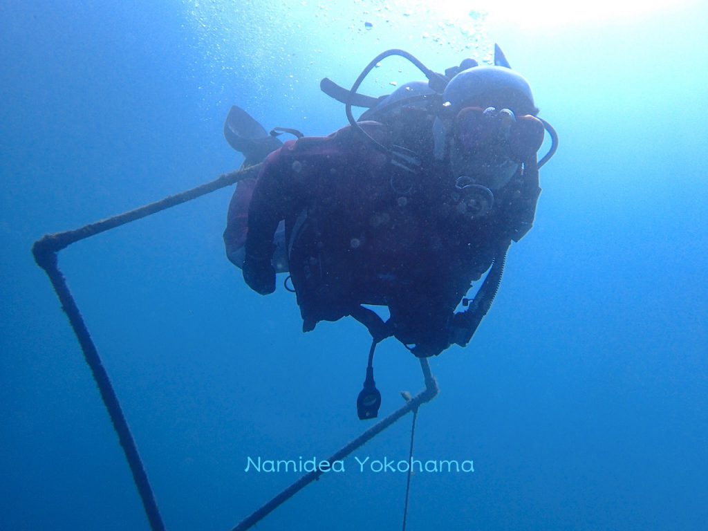 Namidea Yokohama サメ三昧！