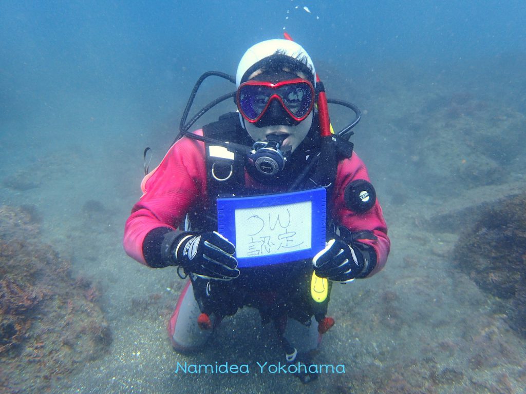 Namidea Yokohama サメ三昧！