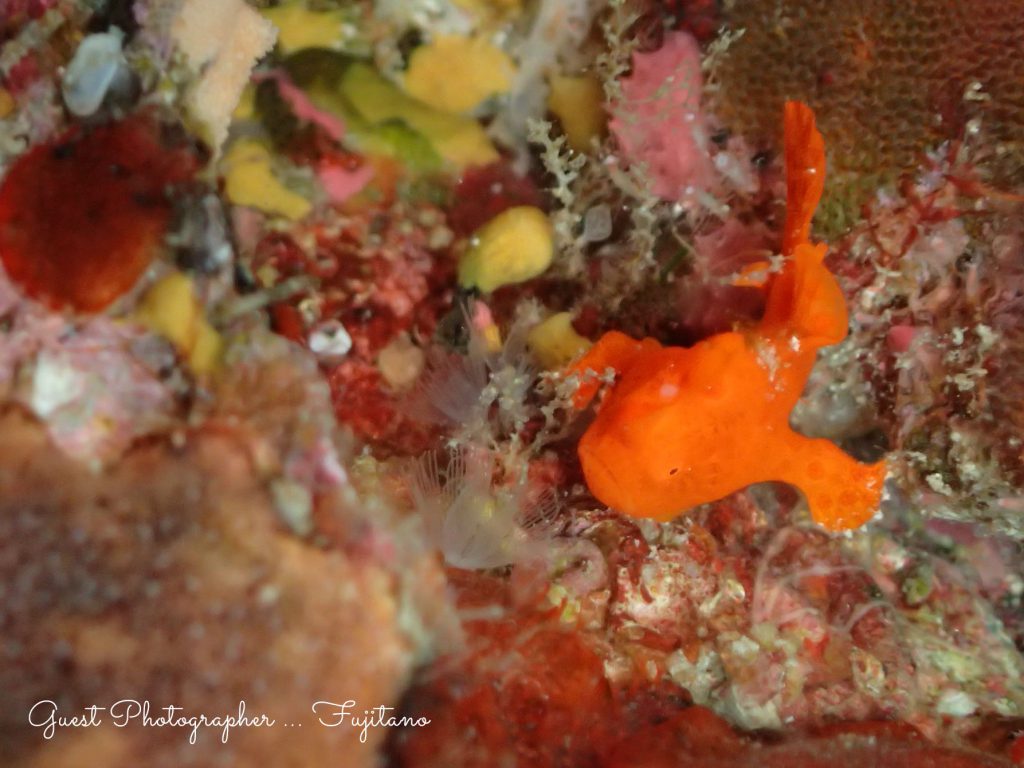 Namidea Yokohama 紀伊半島ツアー!