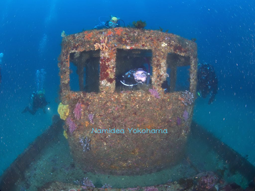 須崎＆菖蒲沢ツアーでの沈船ダイビング
