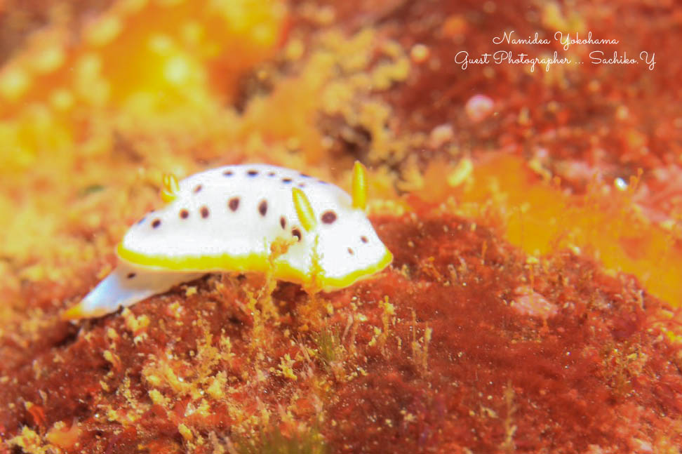 Namidea 平日女子会ツアー!