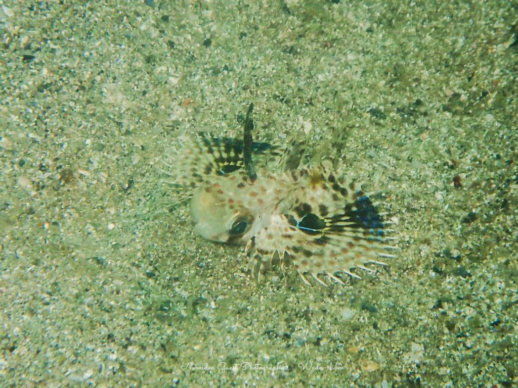 Namidea 平日須江ツアー!