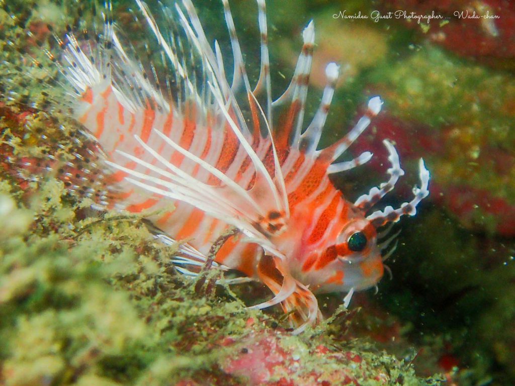 Namidea 平日須江ツアー!