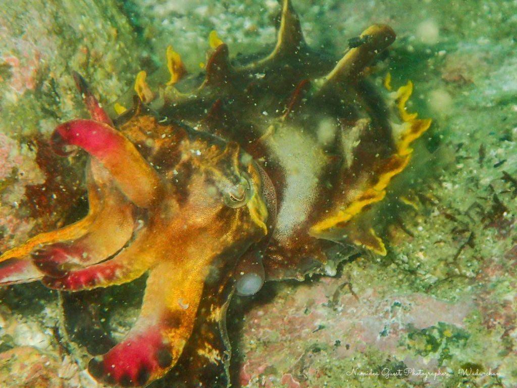 Namidea 平日須江ツアー!