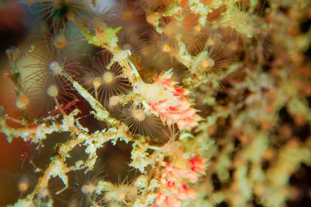 Namidea 平日一眼レフツアー!