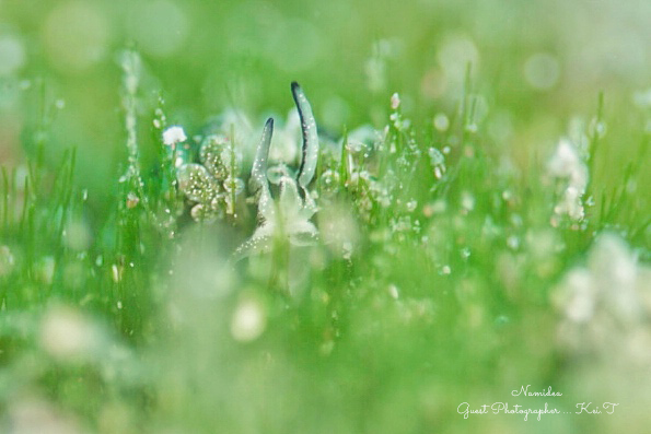 Namidea 平日一眼レフツアー!