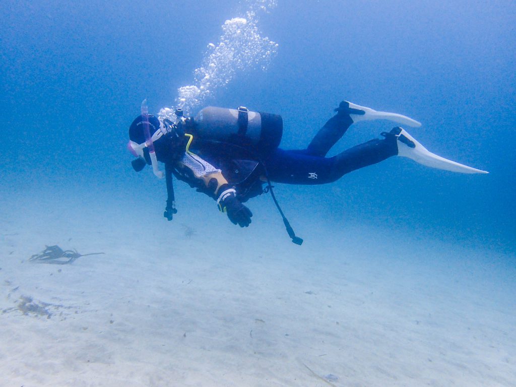 Namidea Yokohama 須崎ダンゴウオツアー!