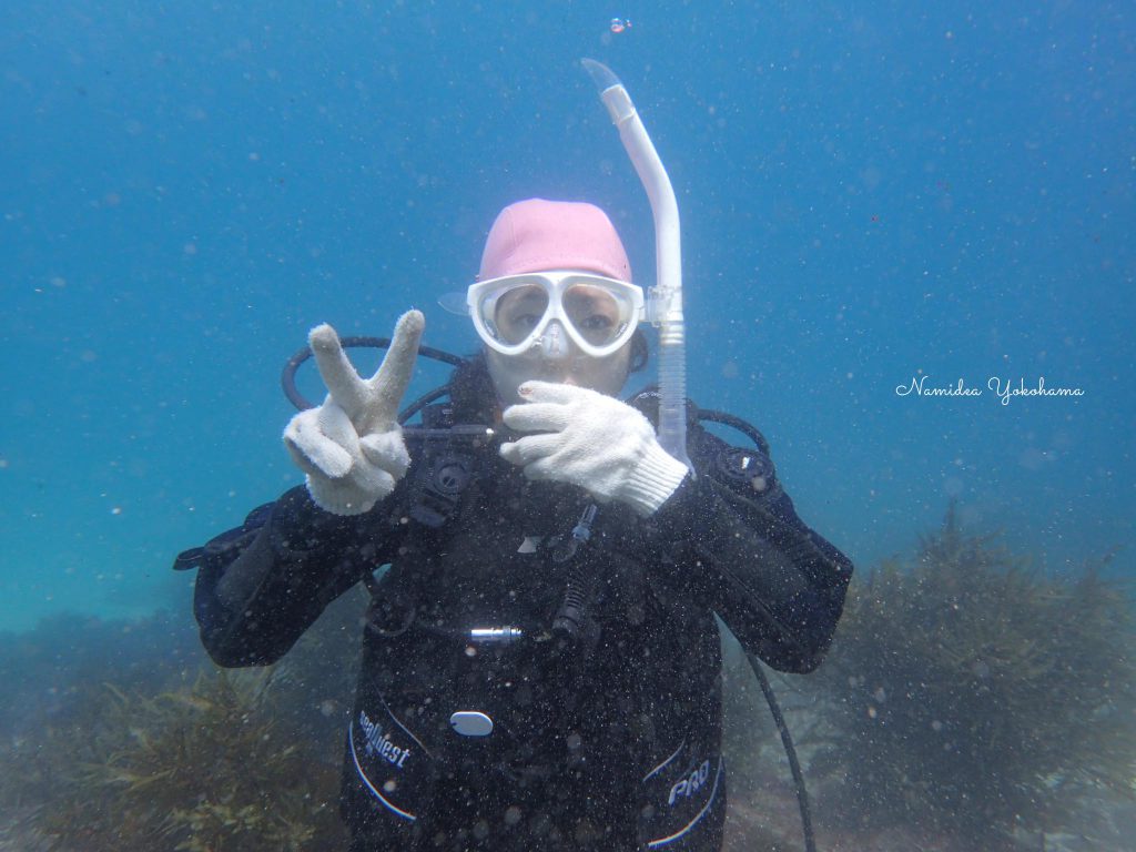 Namidea Yokohama 体験ダイビング！
