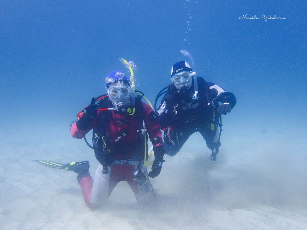 Namidea Yokohama 南伊豆ツアー&体験ダイビング！