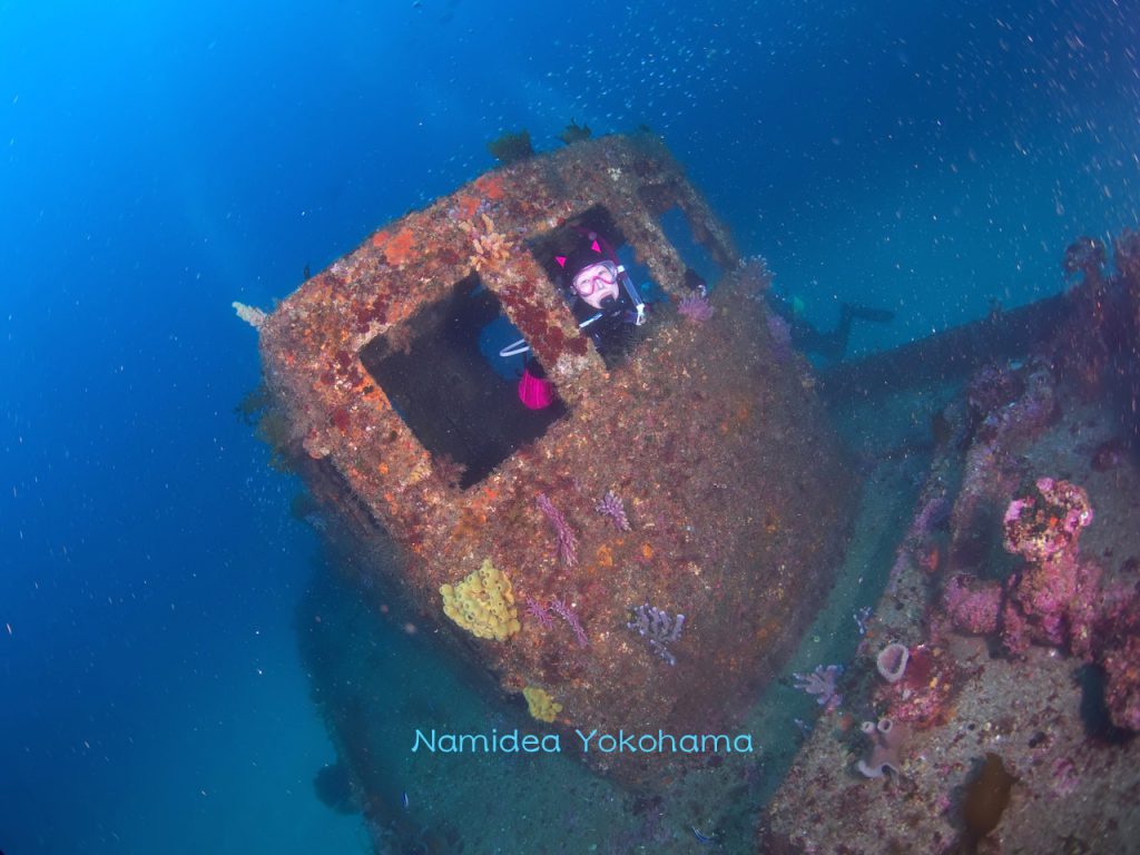 ナミディア須崎＆菖蒲沢ツアーの沈船