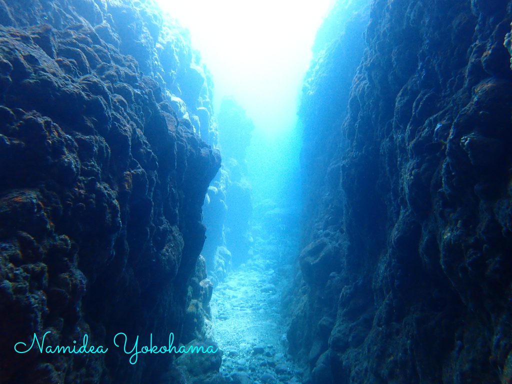 Namidea 平日女子会ツアー!