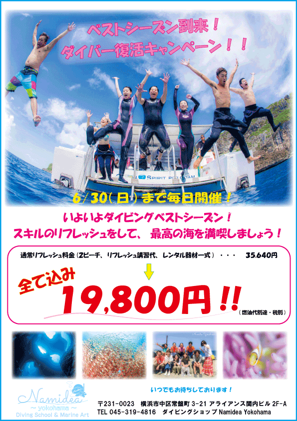 Namidea リフレッシュキャンペーン