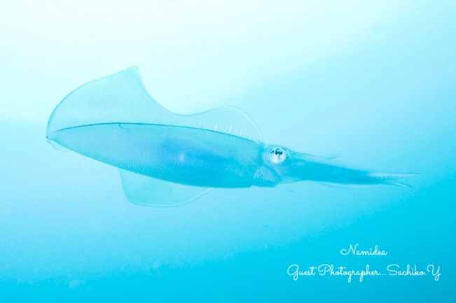 Namidea Yokohama アドバンス講習！