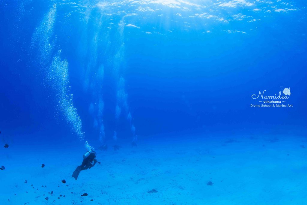 Namidea 粟国&阿嘉島ツアー!