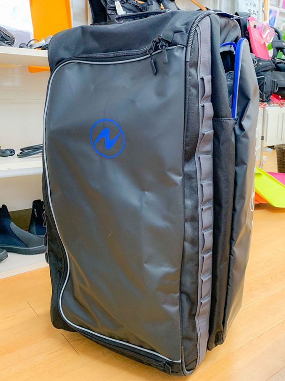 キャリーバック