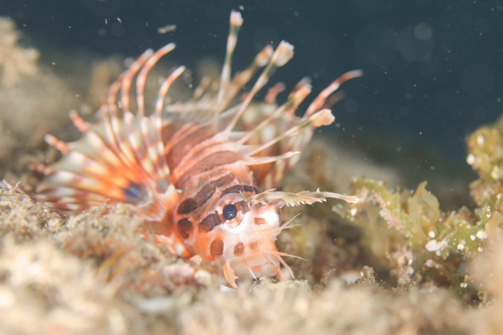 Namidea Yokohama フォトツアー!