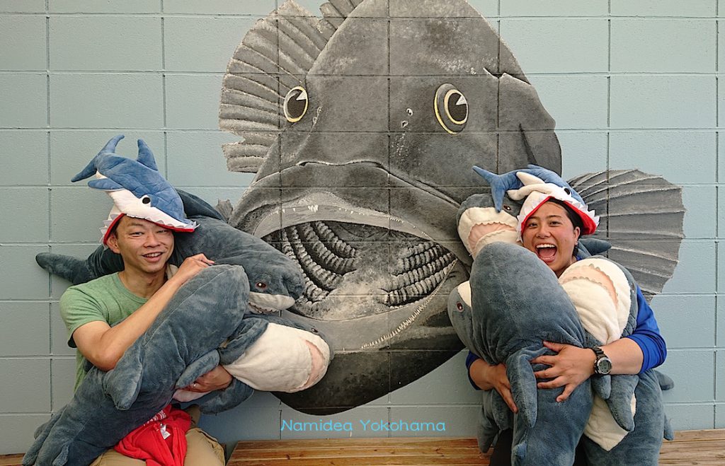 Namidea Yokohama サメパラダイス♪