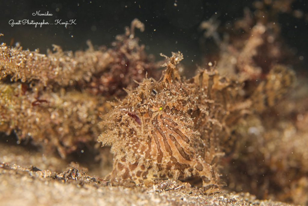 Namidea Yokohama フォトツアー!