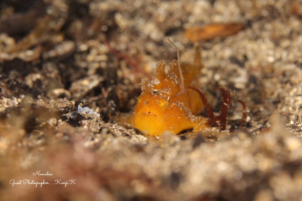 Namidea Yokohama フォトツアー!