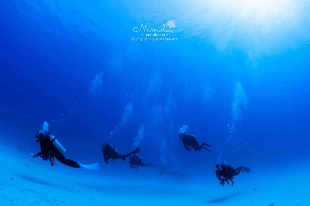 Namidea Yokohama 快晴ダイビング!