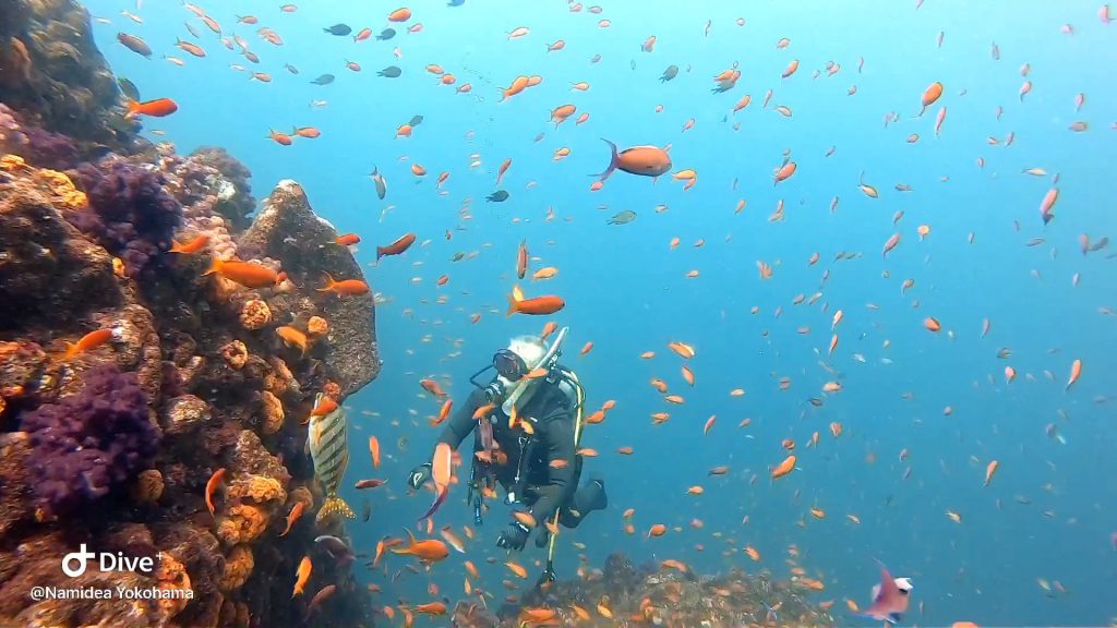 Namidea Yokohama 秋の伊東ボート！