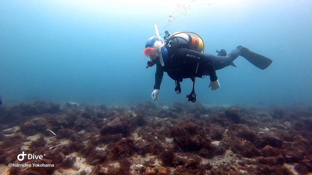 Namidea Yokohama のんびり富戸ビーチ！