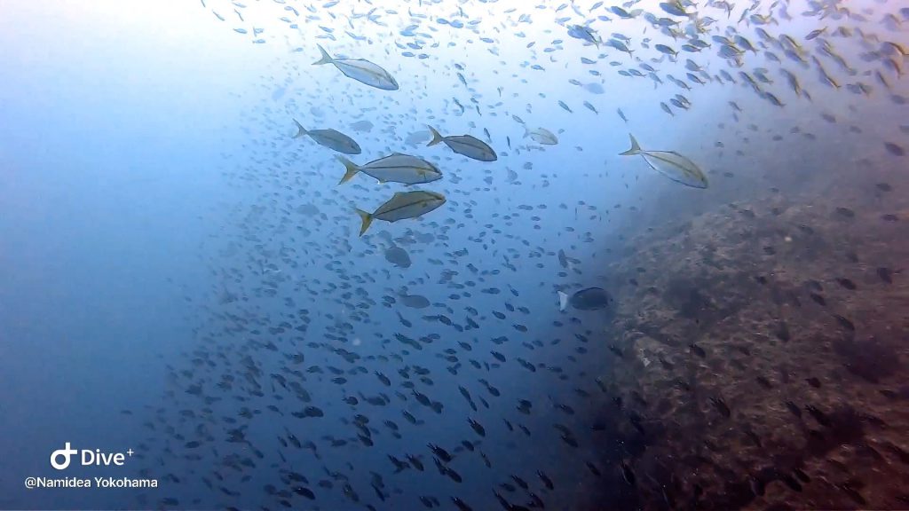 Namidea Yokohama 9月連休第二弾！