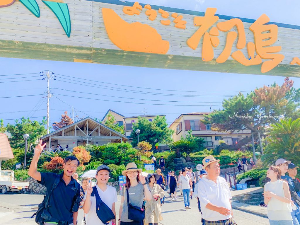 Namidea Yokohama 初島イルカツアー!