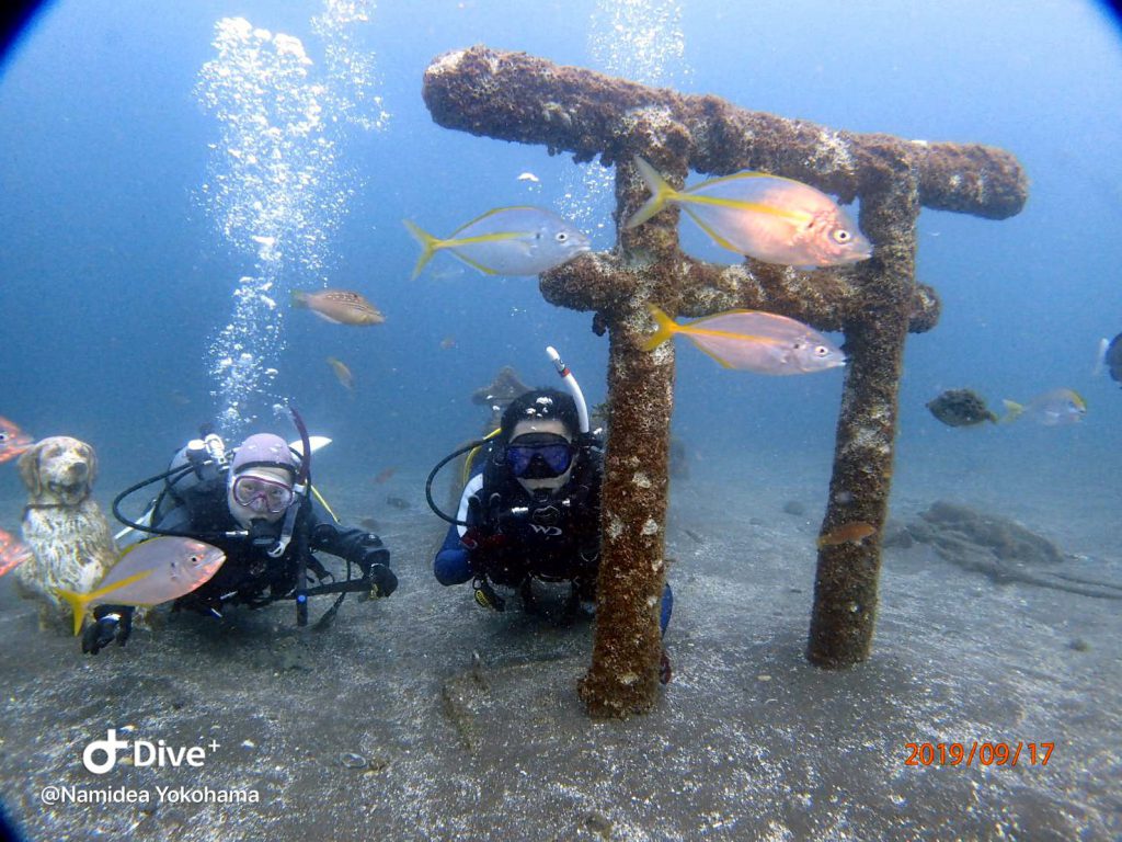 Namidea Yokohama 連休明けの大瀬崎！
