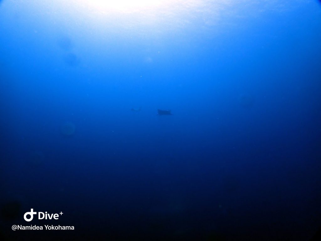 Namidea Yokohama ハンマーツアー!