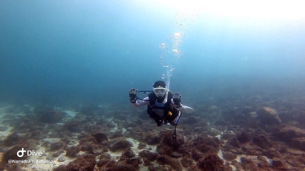 Namidea Yokohama のんびり富戸ビーチ！