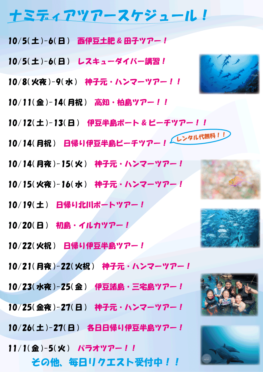 Namidea 秋のツアースケジュール