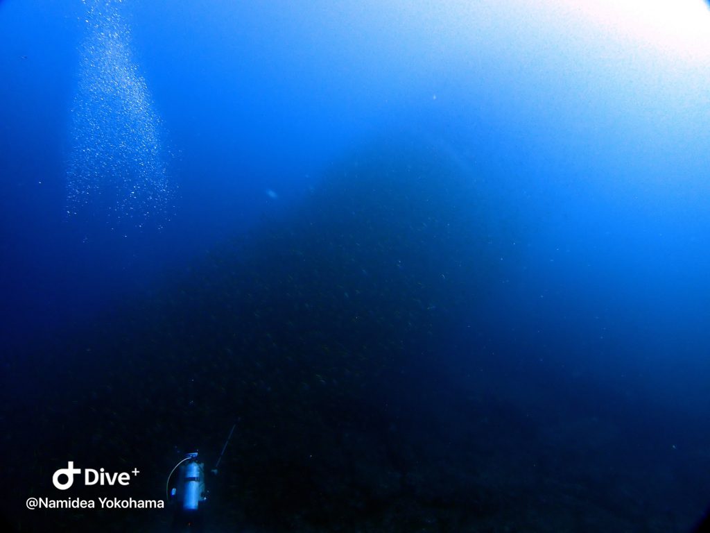 10月神子元ツアースタート!