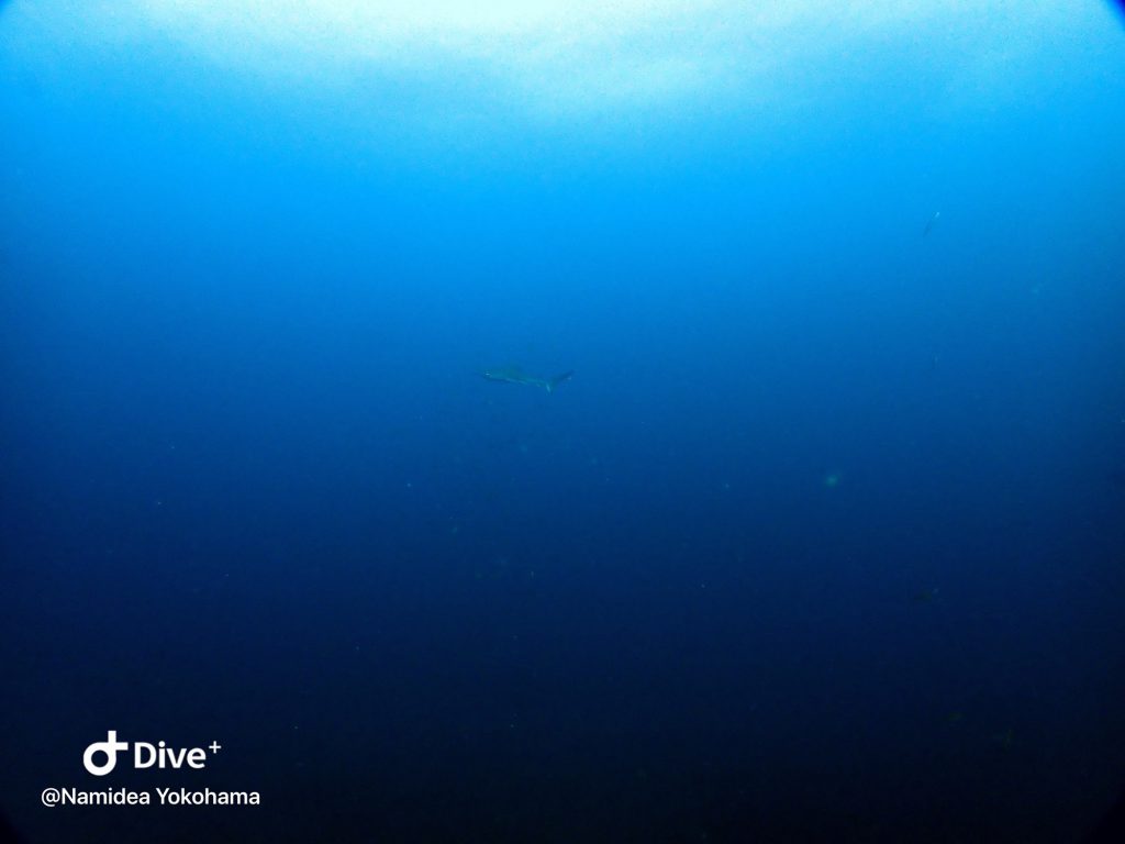 10月神子元ツアースタート!