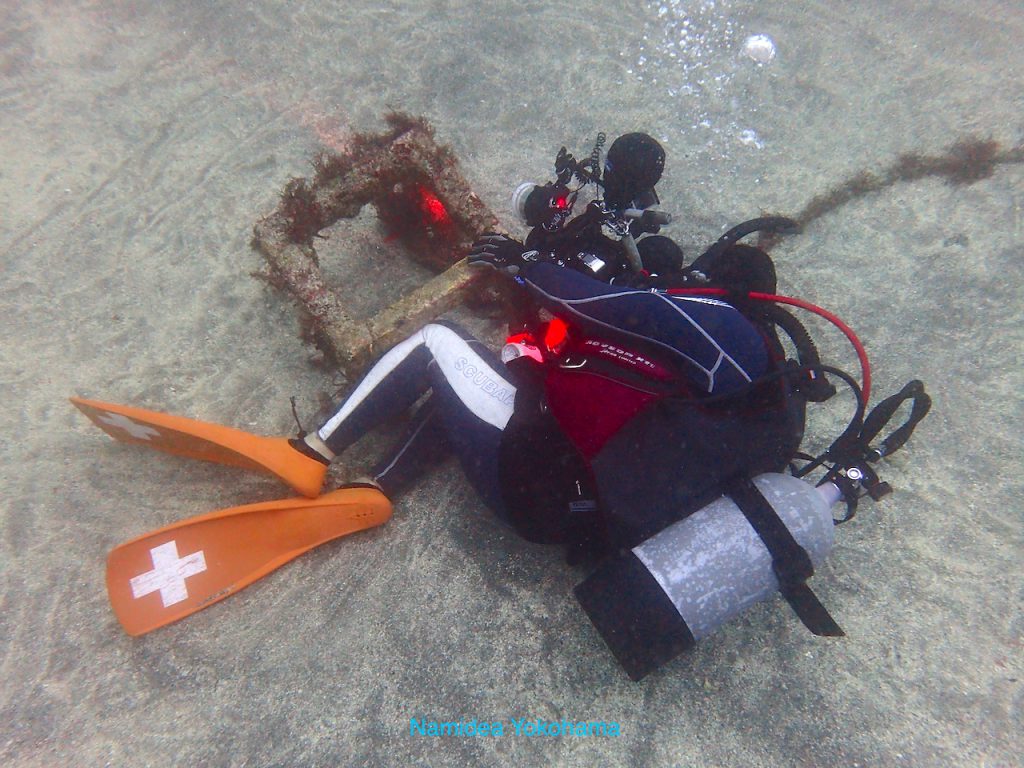 写真を撮るときはみんなこうなってしまいます