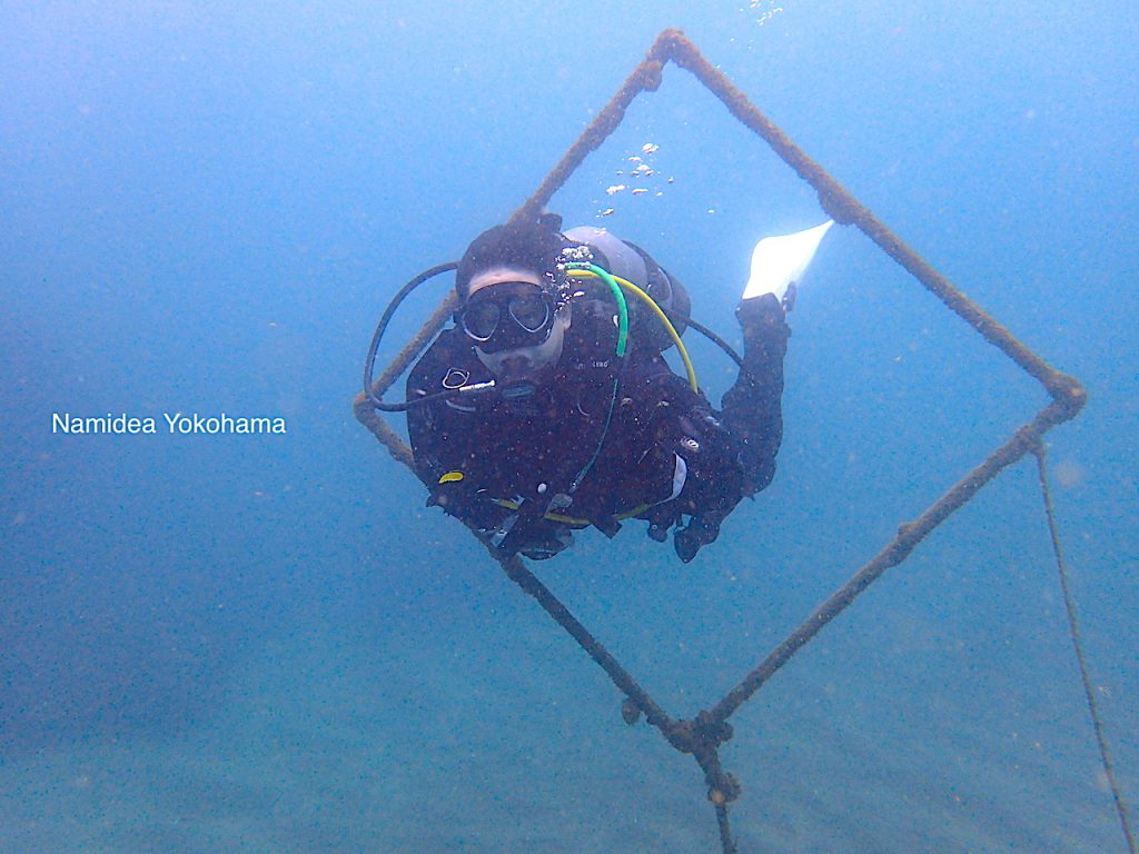 ダイブマスター候補生はやっぱり上手です