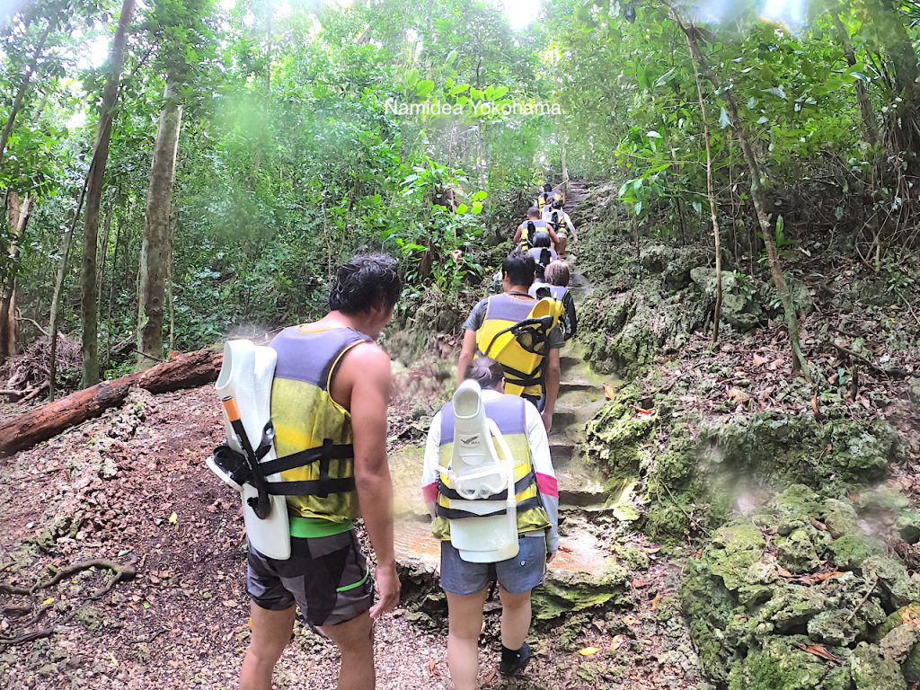 ジェリーフィッシュまではフィンを背負ってハイキング