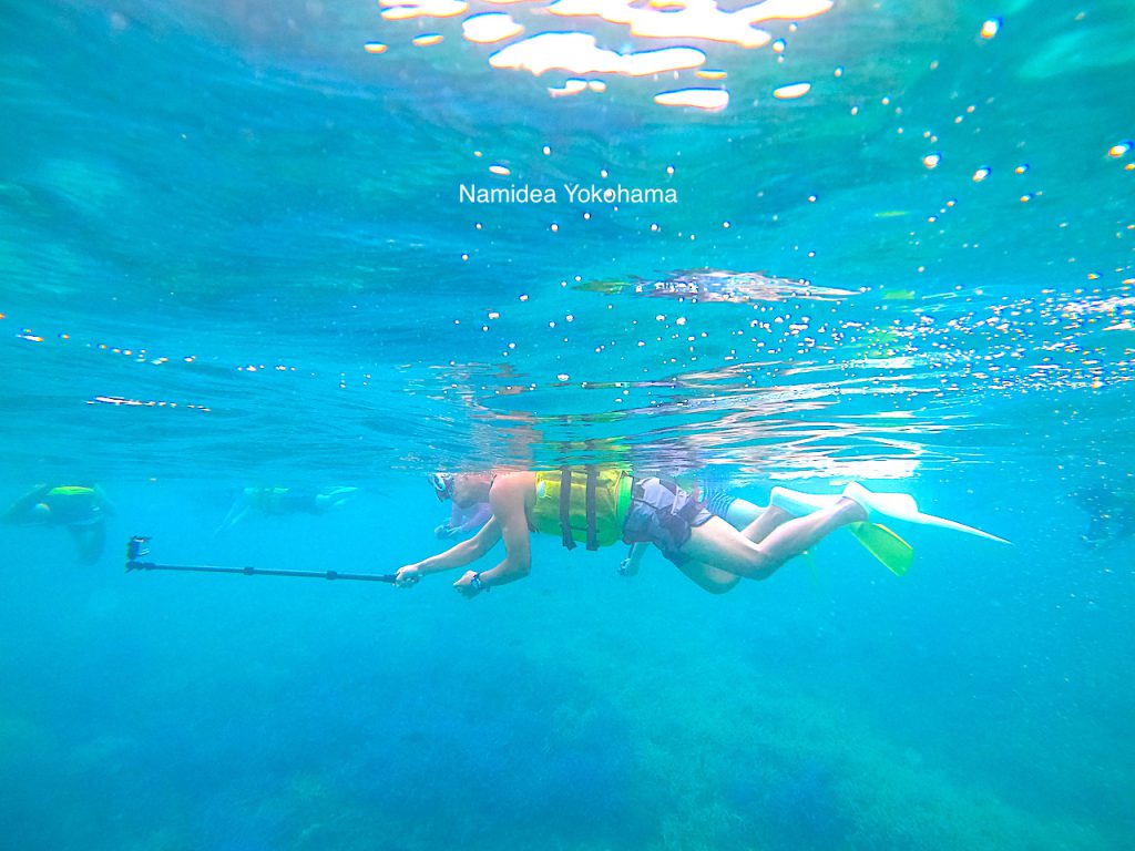 NamidaeYokohama palauツアー スノーケル