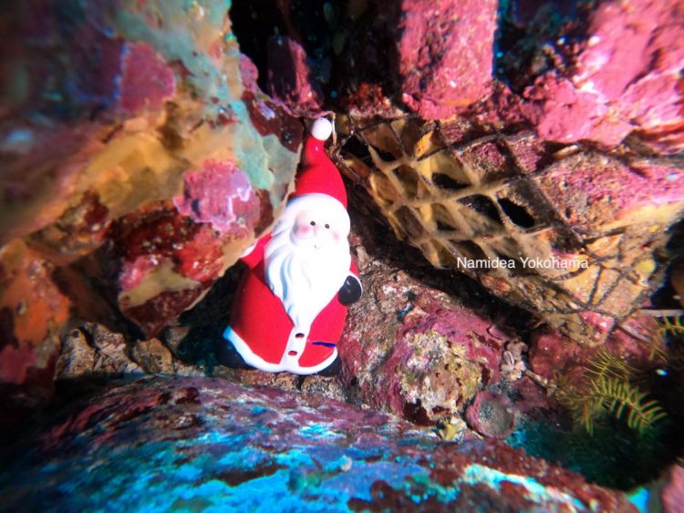 Namidea クリスマスダイビングドライセミナーでサンタを探す