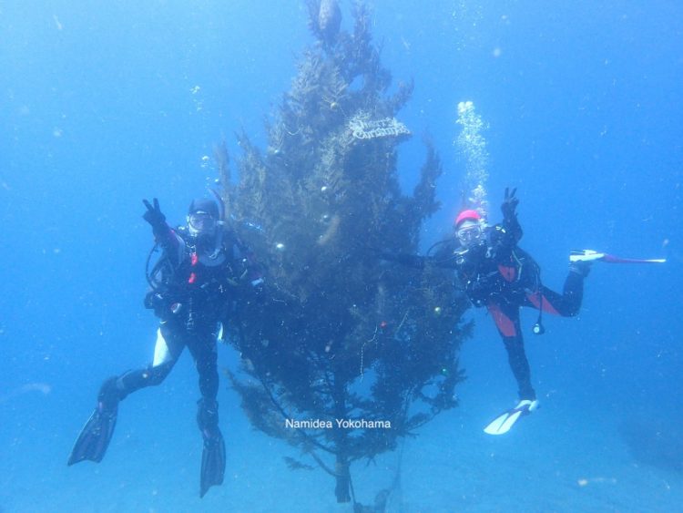 Namidea Yokohama ダイブマスター講習