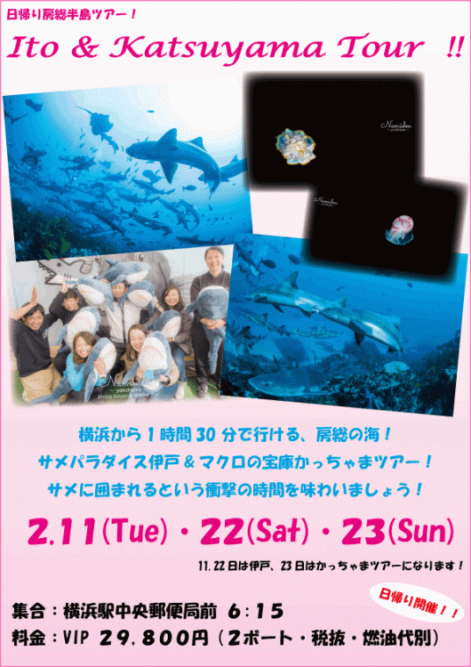 Namidea 冬の房総半島ツアー!