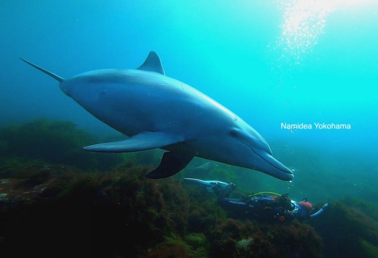 最後の最後に登場してくれました!