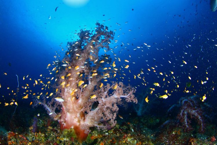 Namidea GW大島ツアー!