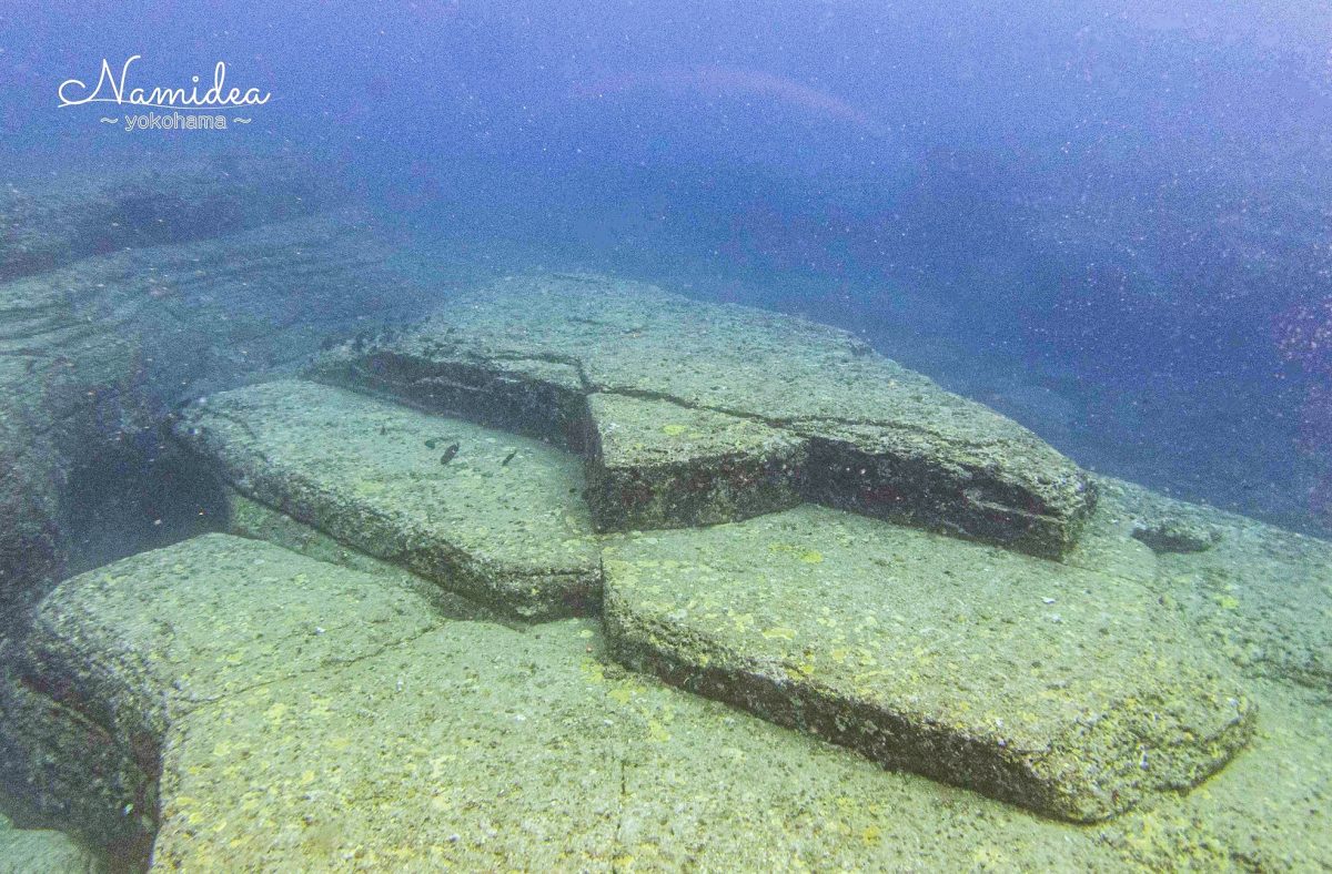 2024年2月Namidea与那国島ツアー！