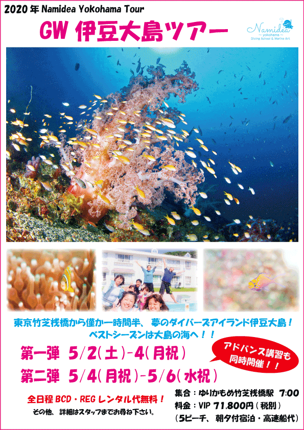 2020年ナミディアGW大島