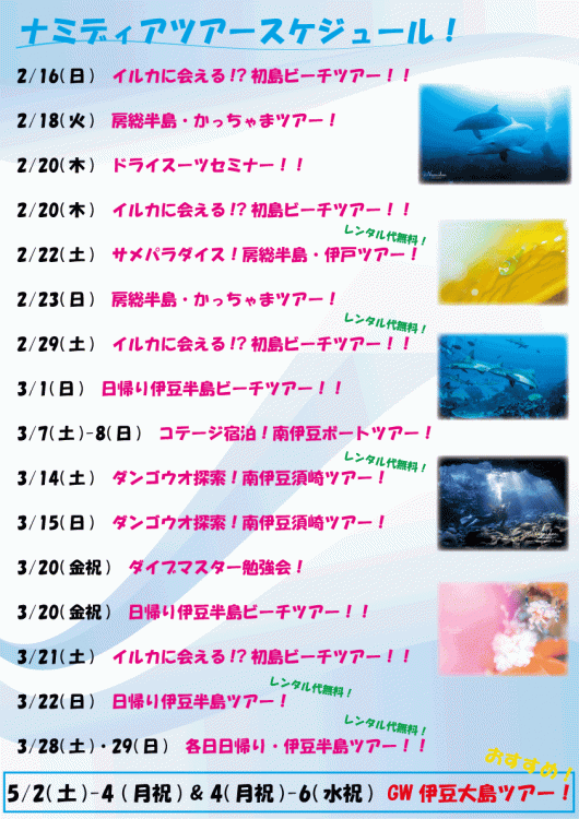 Namidea 2020.2-3月スケジュール！