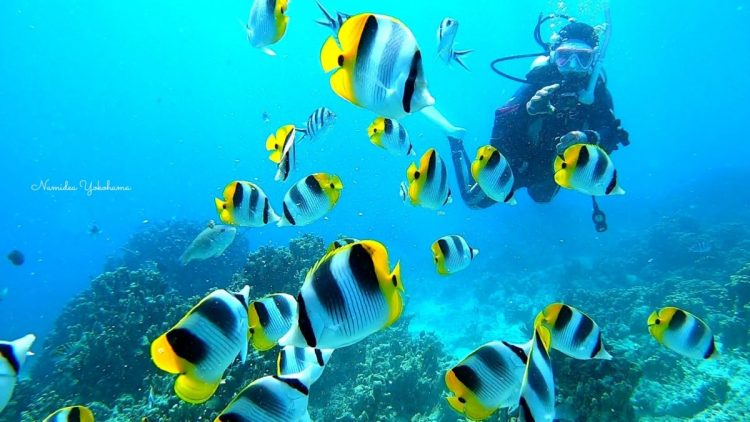 2020ナミディアグアムツアー3日目!