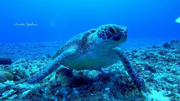 2020ナミディアグアムツアー3日目!