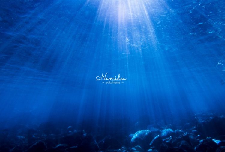 Namidea Yokohama 1月最終平日ツアー！